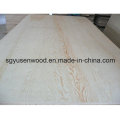 AAA Grade Birch Plywood for American Market